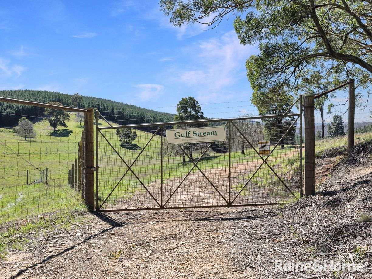 Lot 29 Mount Homer Road — photo 13 of 26