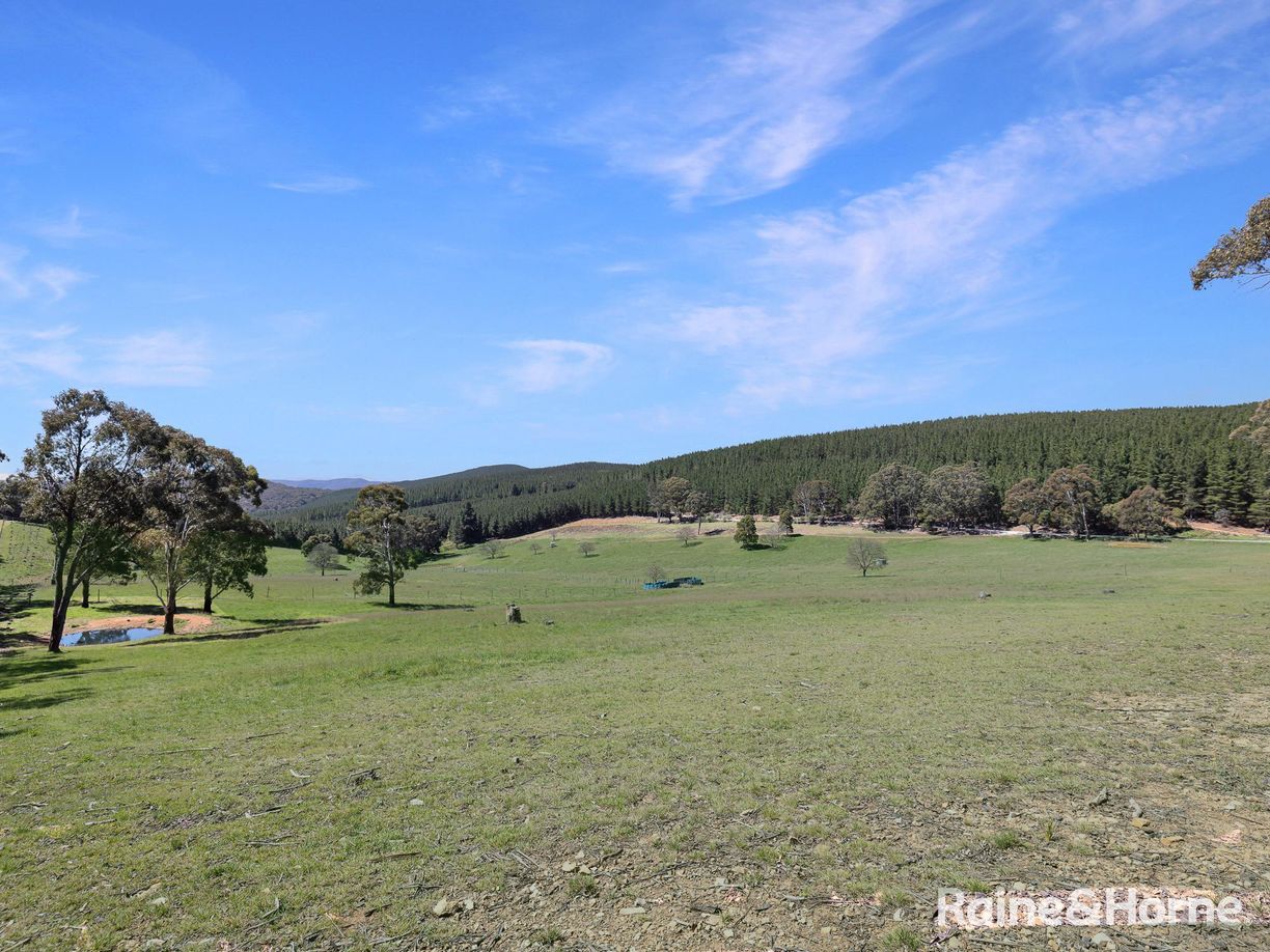 Lot 29 Mount Homer Road — photo 14 of 26