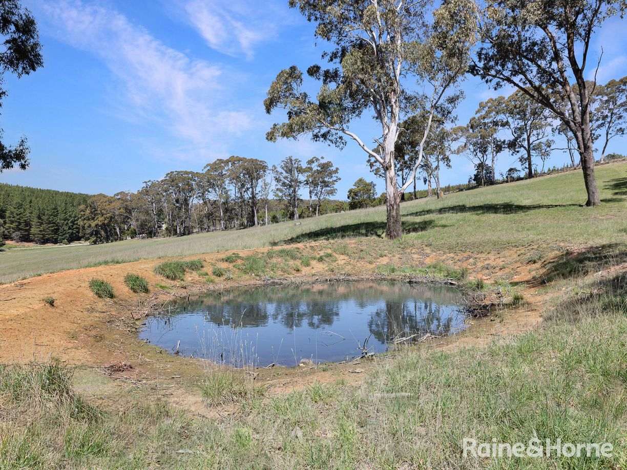 Lot 29 Mount Homer Road — photo 16 of 26