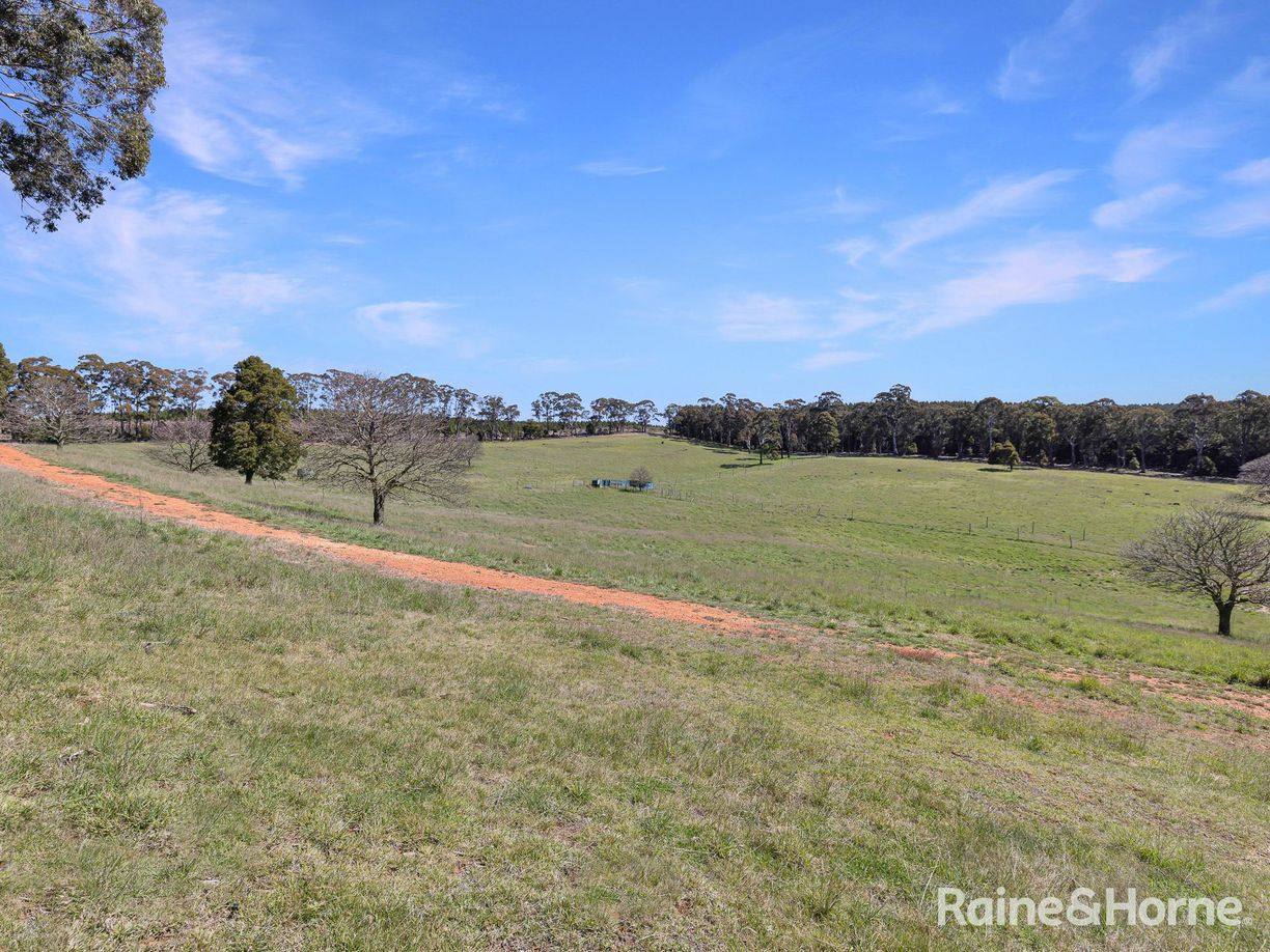 Lot 29 Mount Homer Road — photo 17 of 26