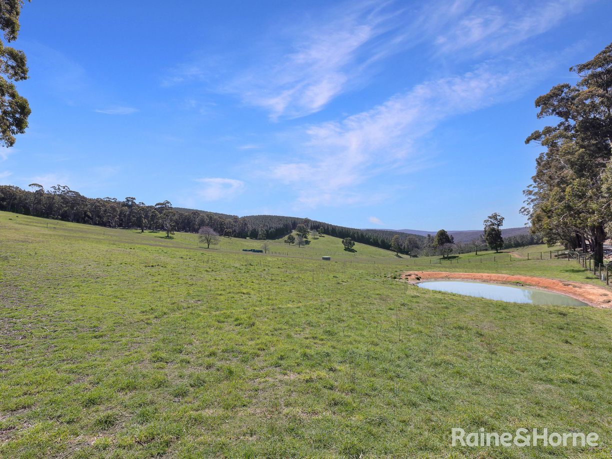 Lot 29 Mount Homer Road — photo 18 of 26