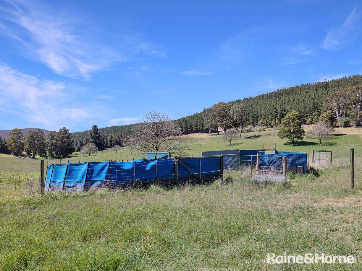 Lot 29 Mount Homer Road — photo 19 of 26