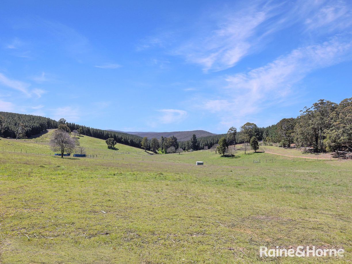 Lot 29 Mount Homer Road — photo 21 of 26