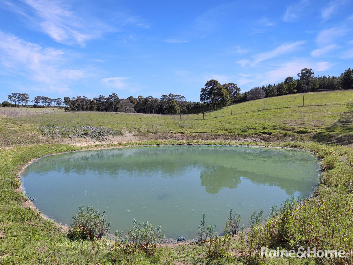 Lot 29 Mount Homer Road — photo 22 of 26
