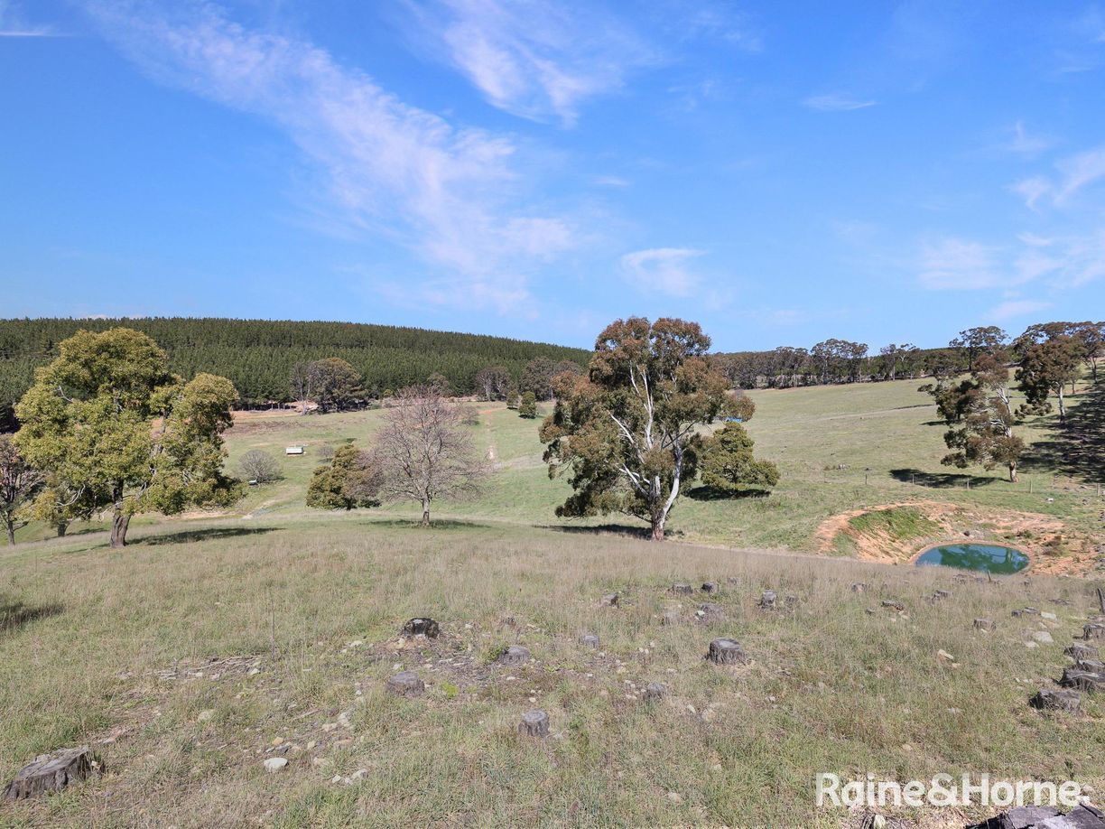 Lot 29 Mount Homer Road — photo 23 of 26