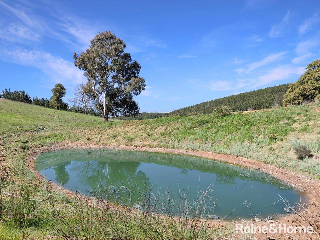 Lot 29 Mount Homer Road — photo 24 of 26