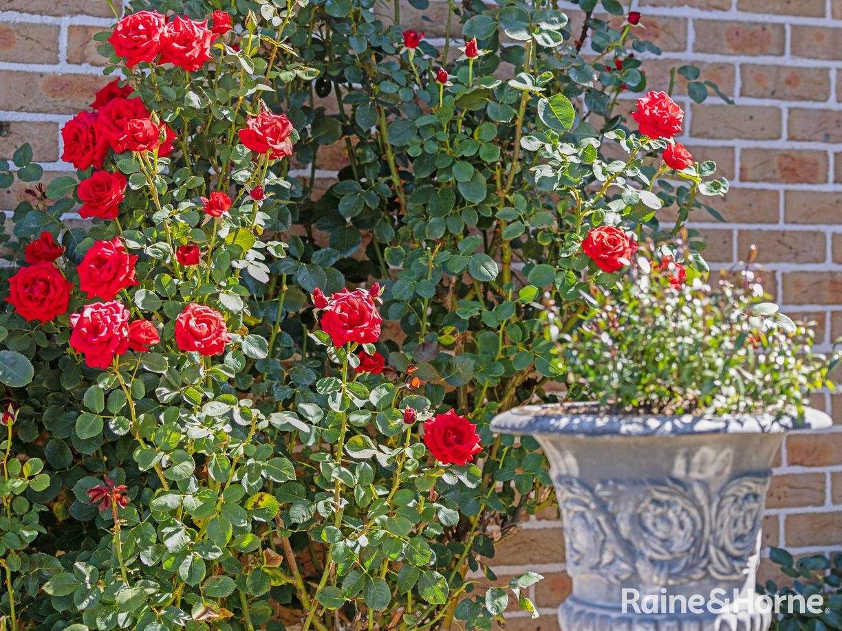 11 Willott Close — photo 23 of 30