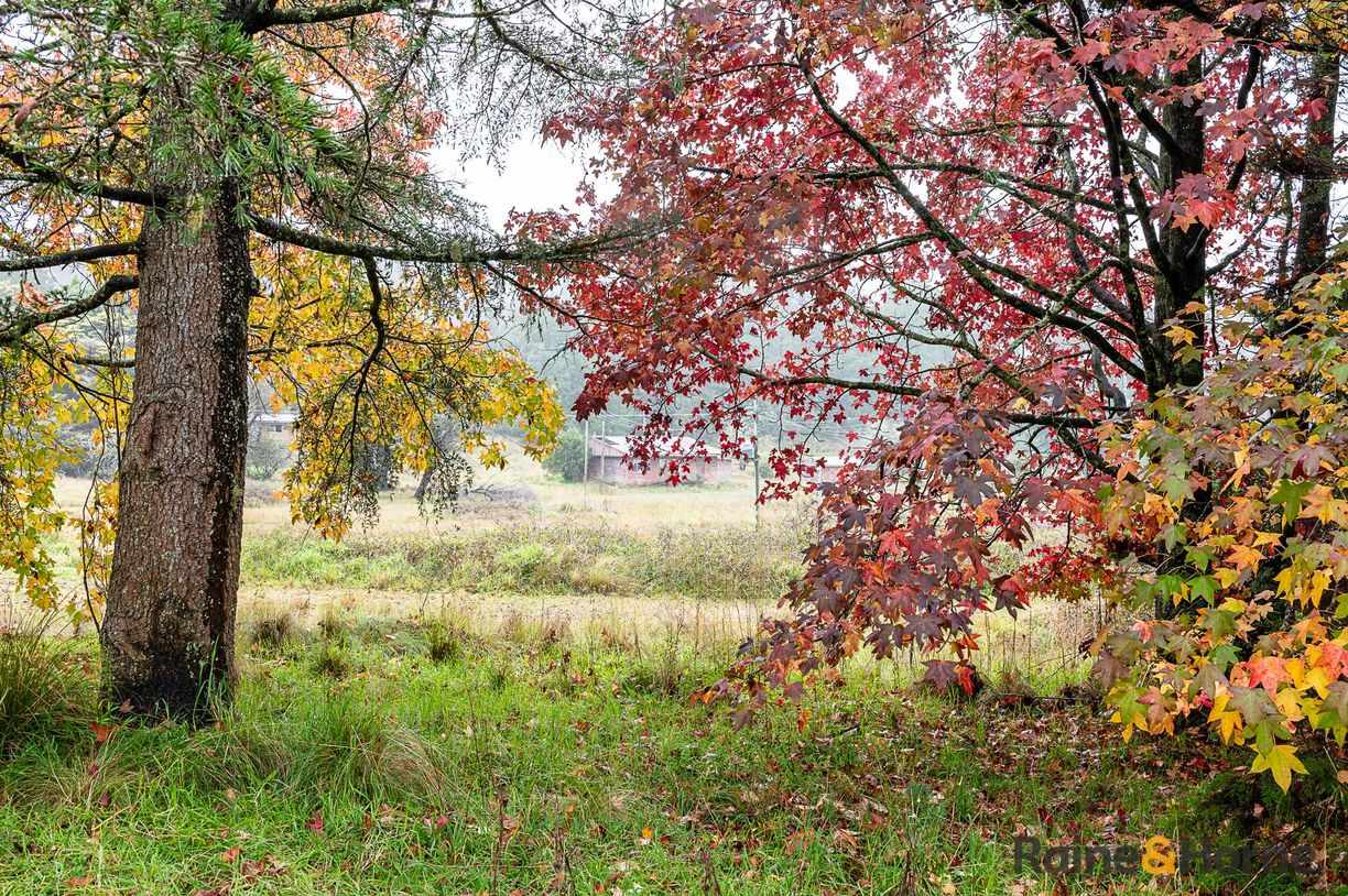 4833 Brackendale Road — photo 9 of 11