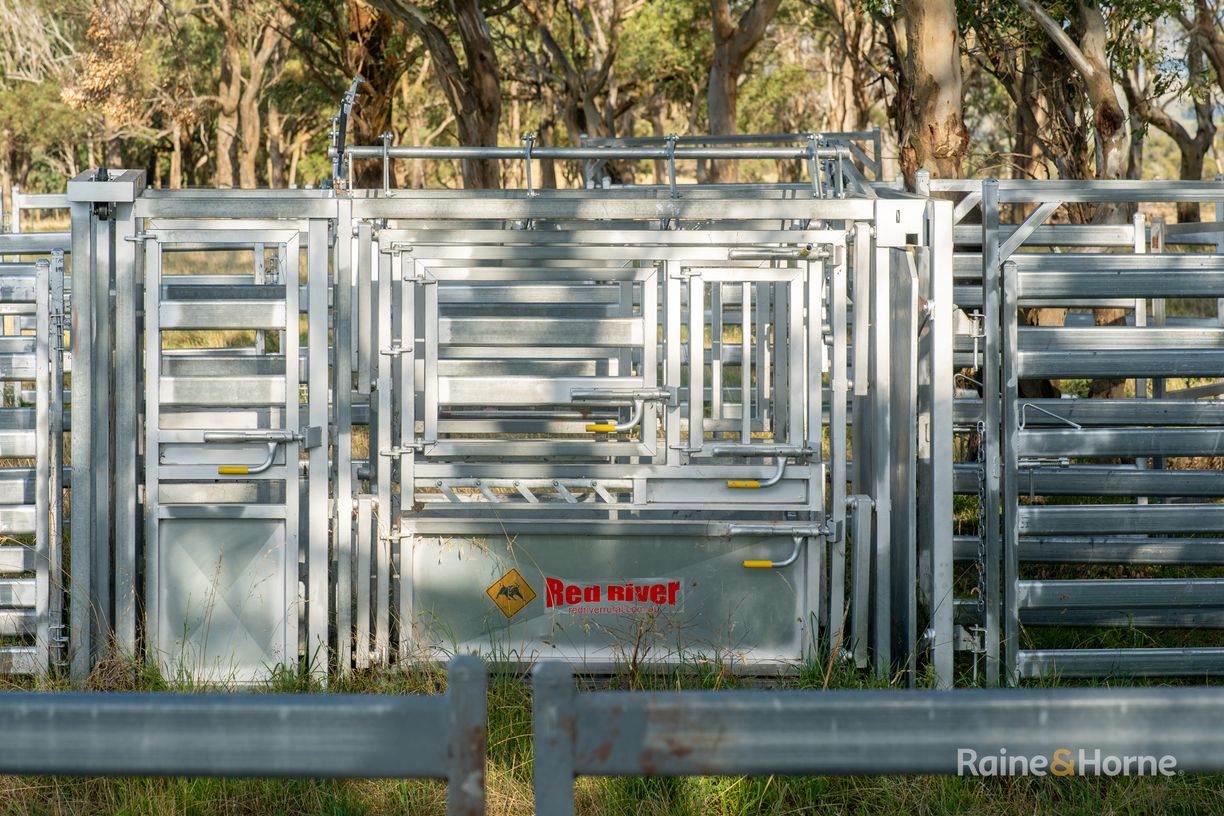 733 Niangala Road — photo 14 of 16
