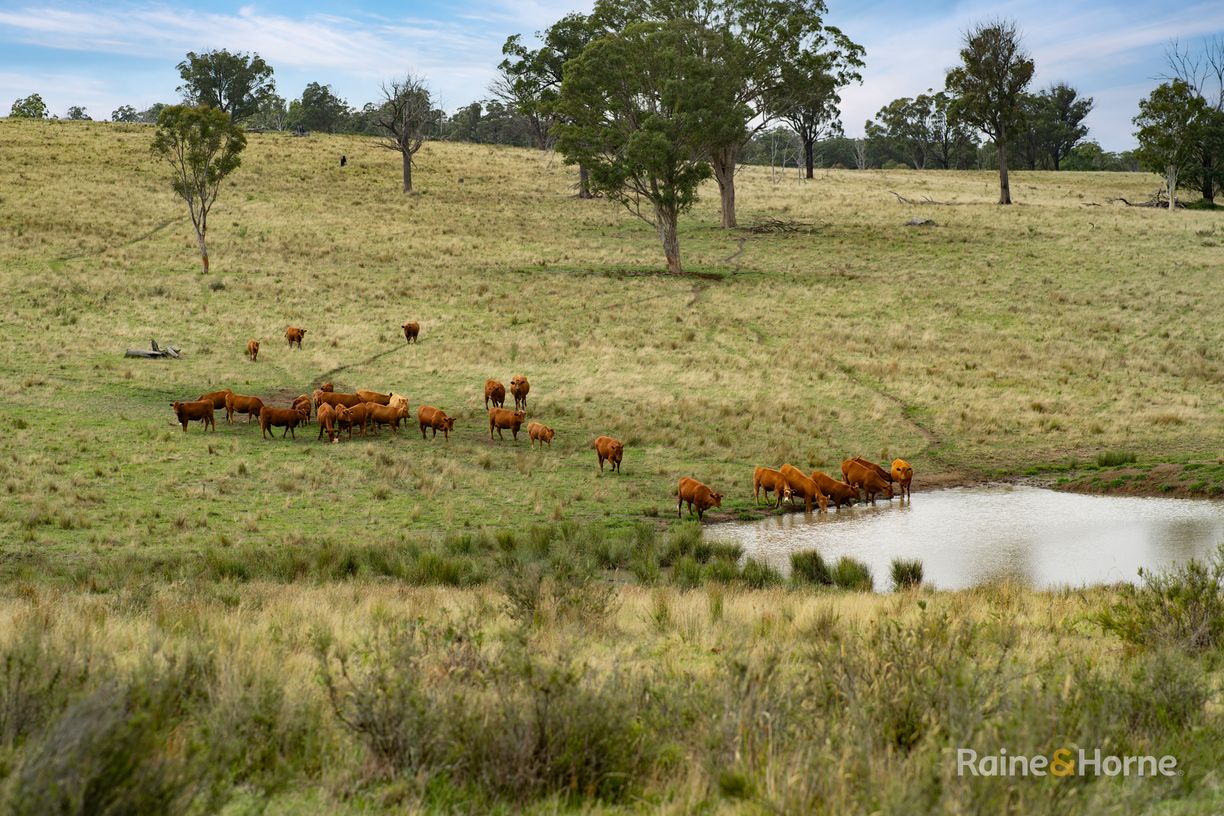 733 Niangala Road — photo from Raine & Horne Armidale | Glen Innes
