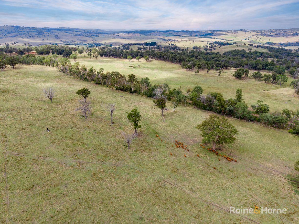 733 Niangala Road — photo 12 of 16