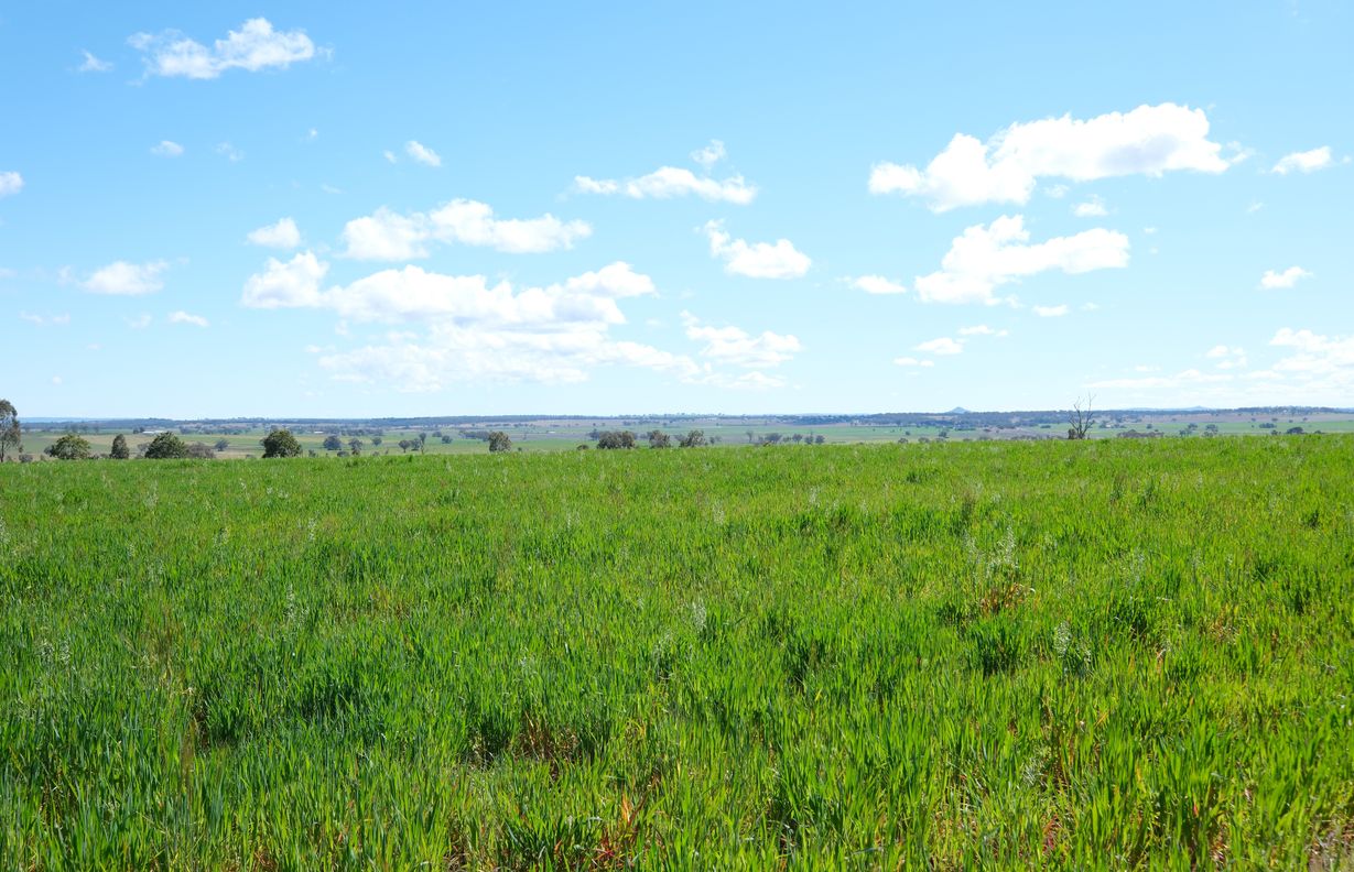 154 Delungra Bypass Road — photo from Raine & Horne