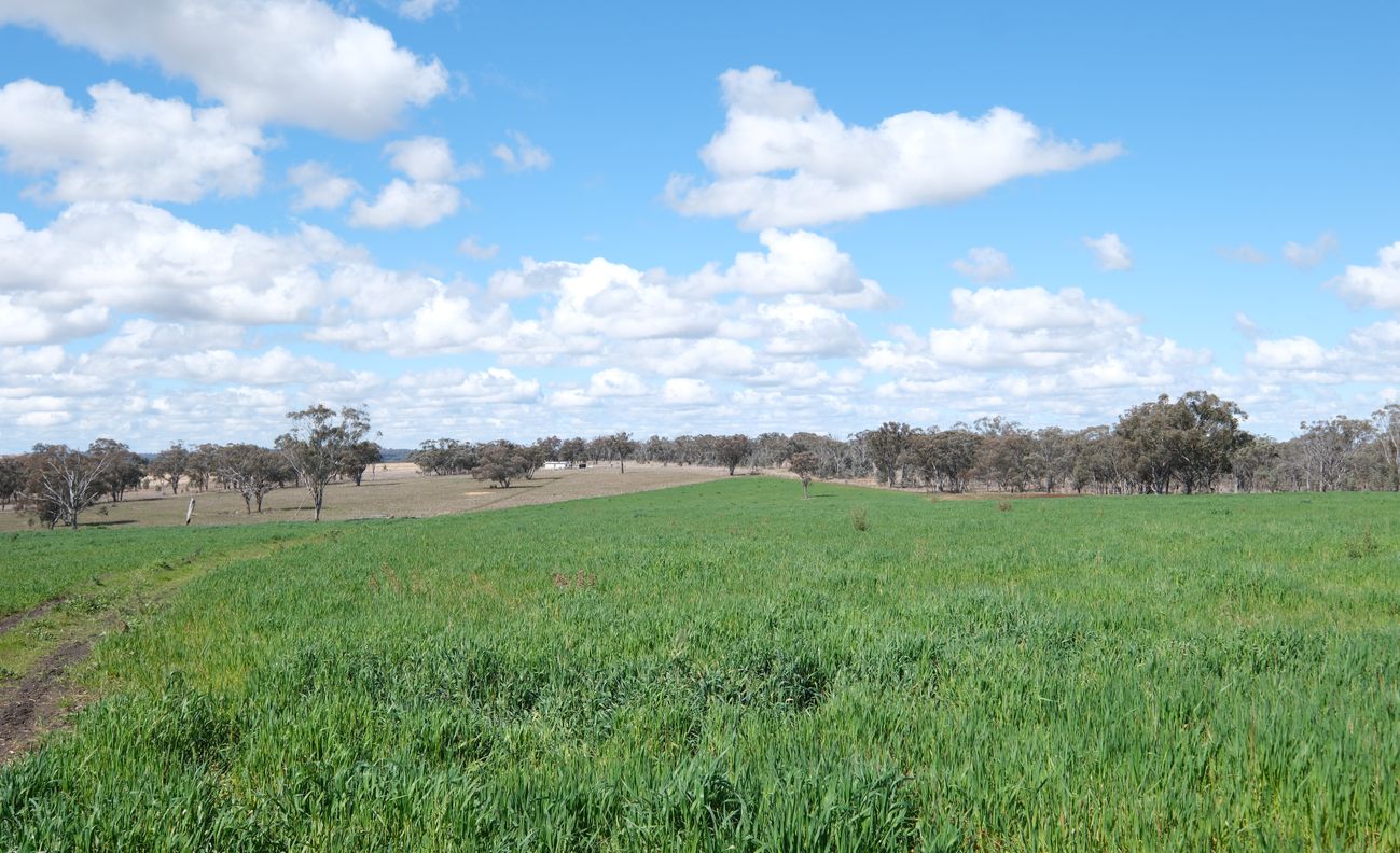 154 Delungra Bypass Road — photo 2 of 22