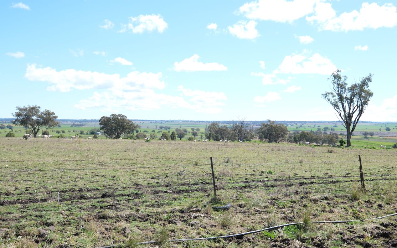 154 Delungra Bypass Road — photo 6 of 22