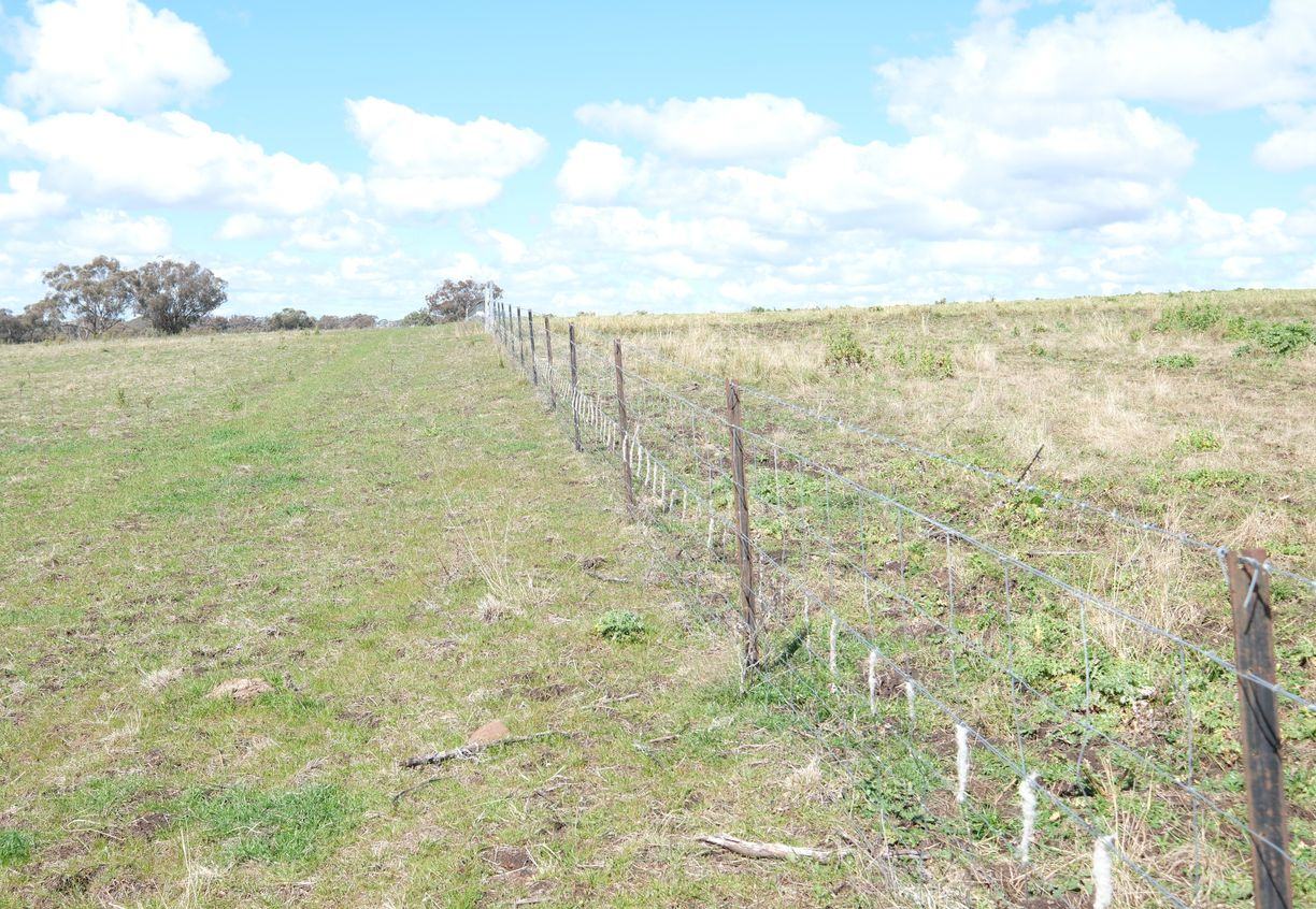 154 Delungra Bypass Road — photo 7 of 22