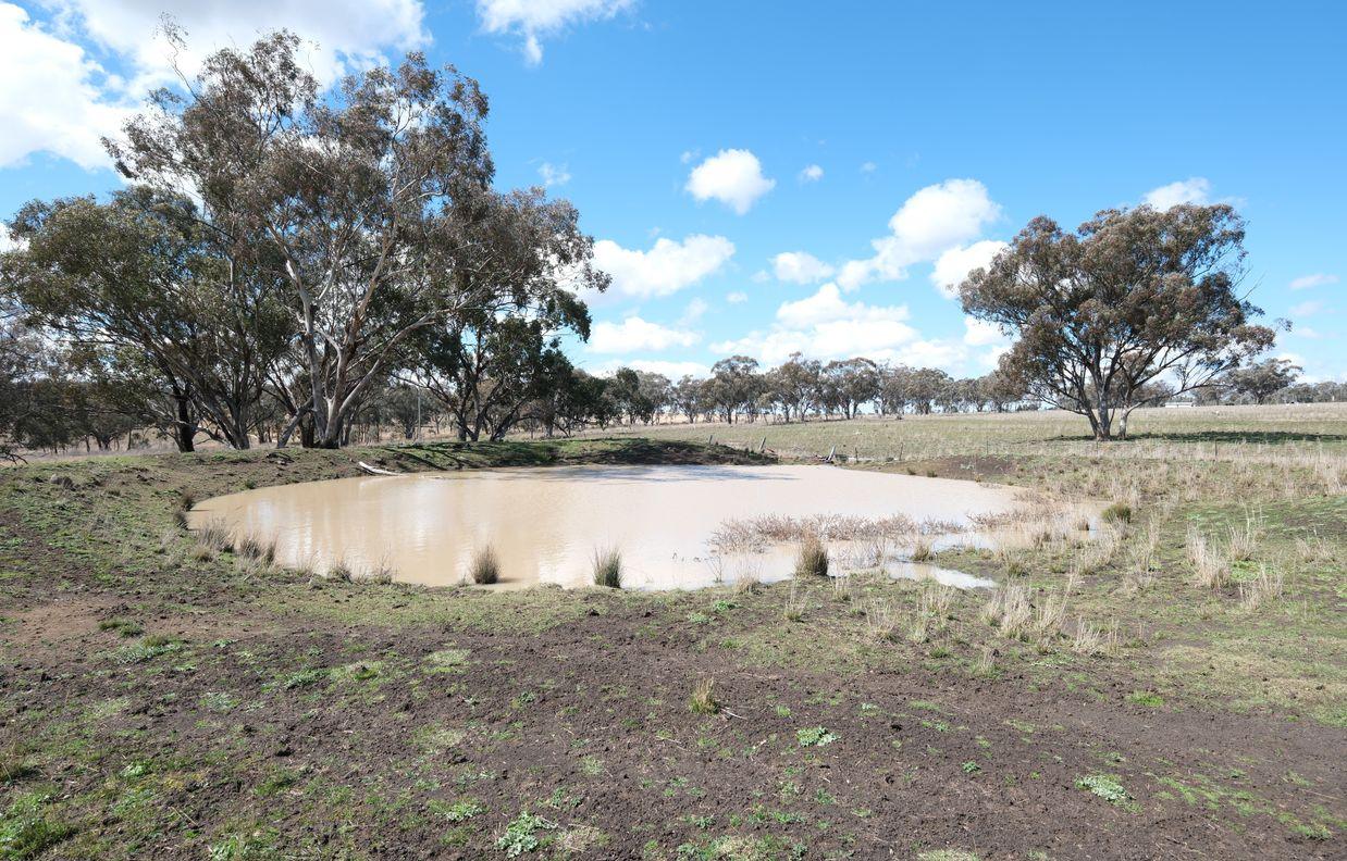 154 Delungra Bypass Road — photo 8 of 22