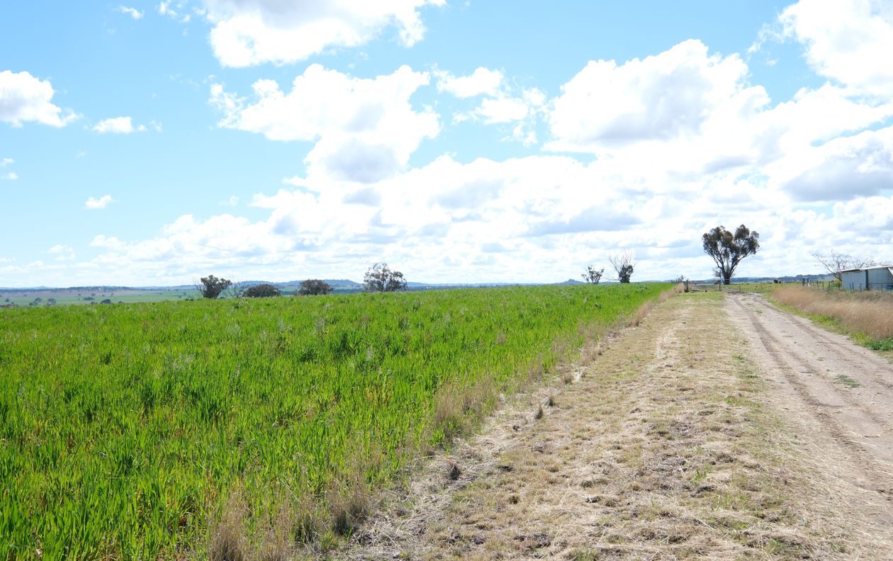 154 Delungra Bypass Road — photo 10 of 22