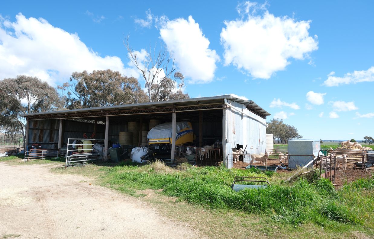 154 Delungra Bypass Road — photo 12 of 22
