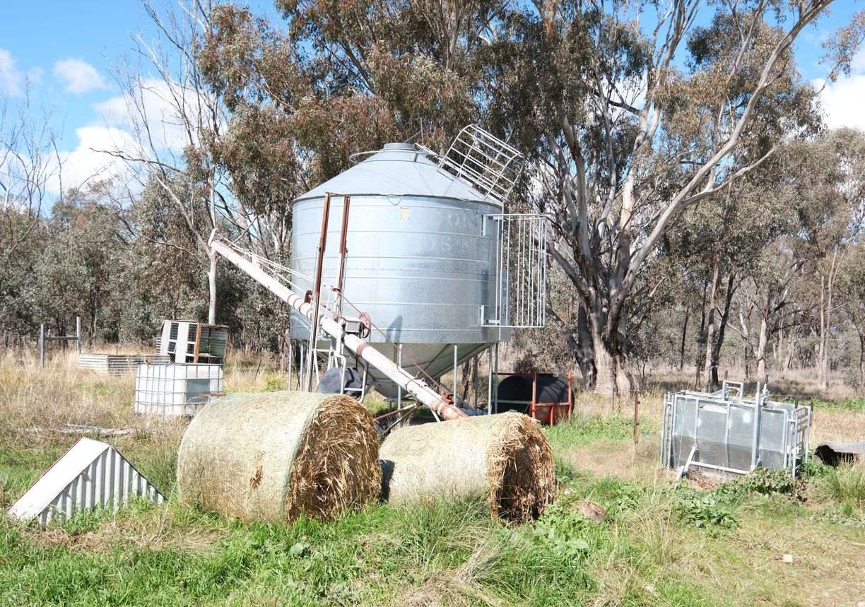 154 Delungra Bypass Road — photo 13 of 22