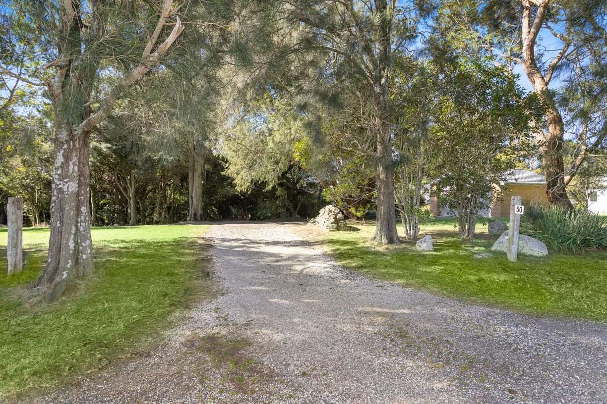 50 Riversdale Road — photo 4 of 21