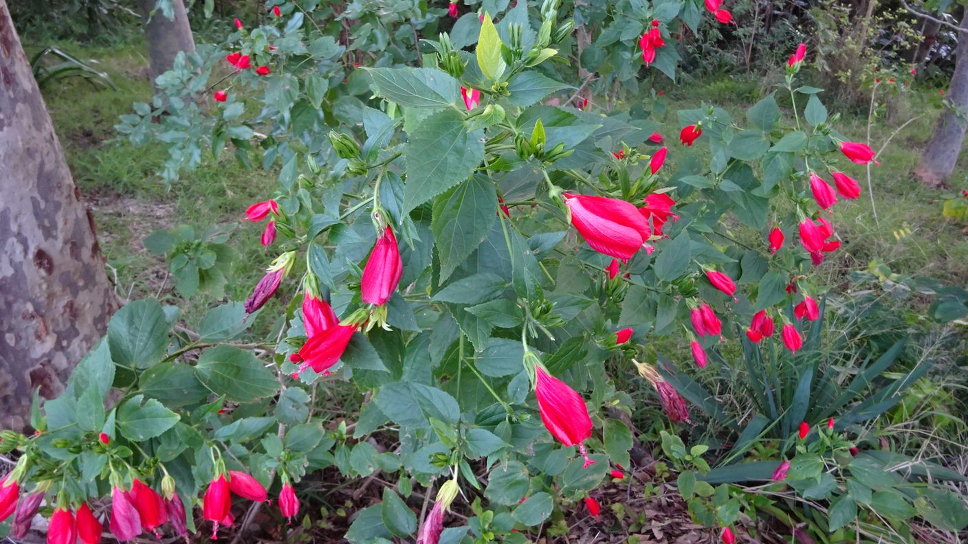 7 Amelia Street — photo 12 of 15