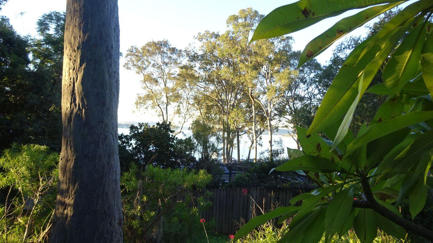 7 Amelia Street — photo 4 of 15