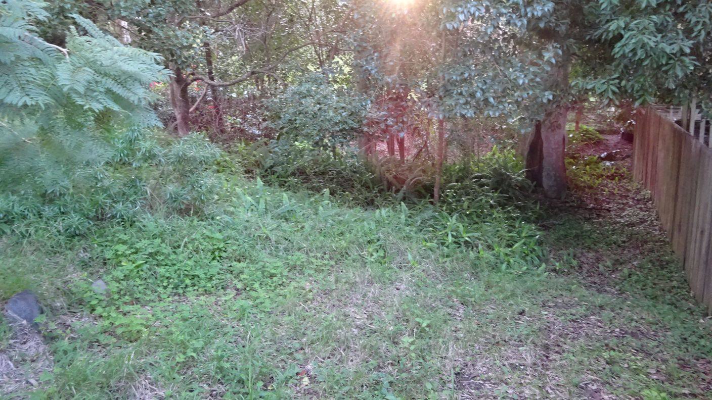 7 Amelia Street — photo 5 of 15
