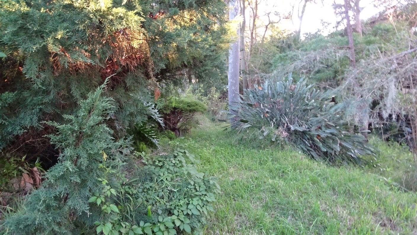 7 Amelia Street — photo 7 of 15