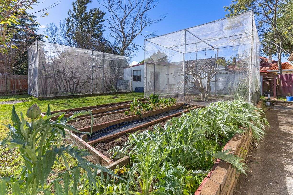 138 Lurline Street — photo 18 of 22