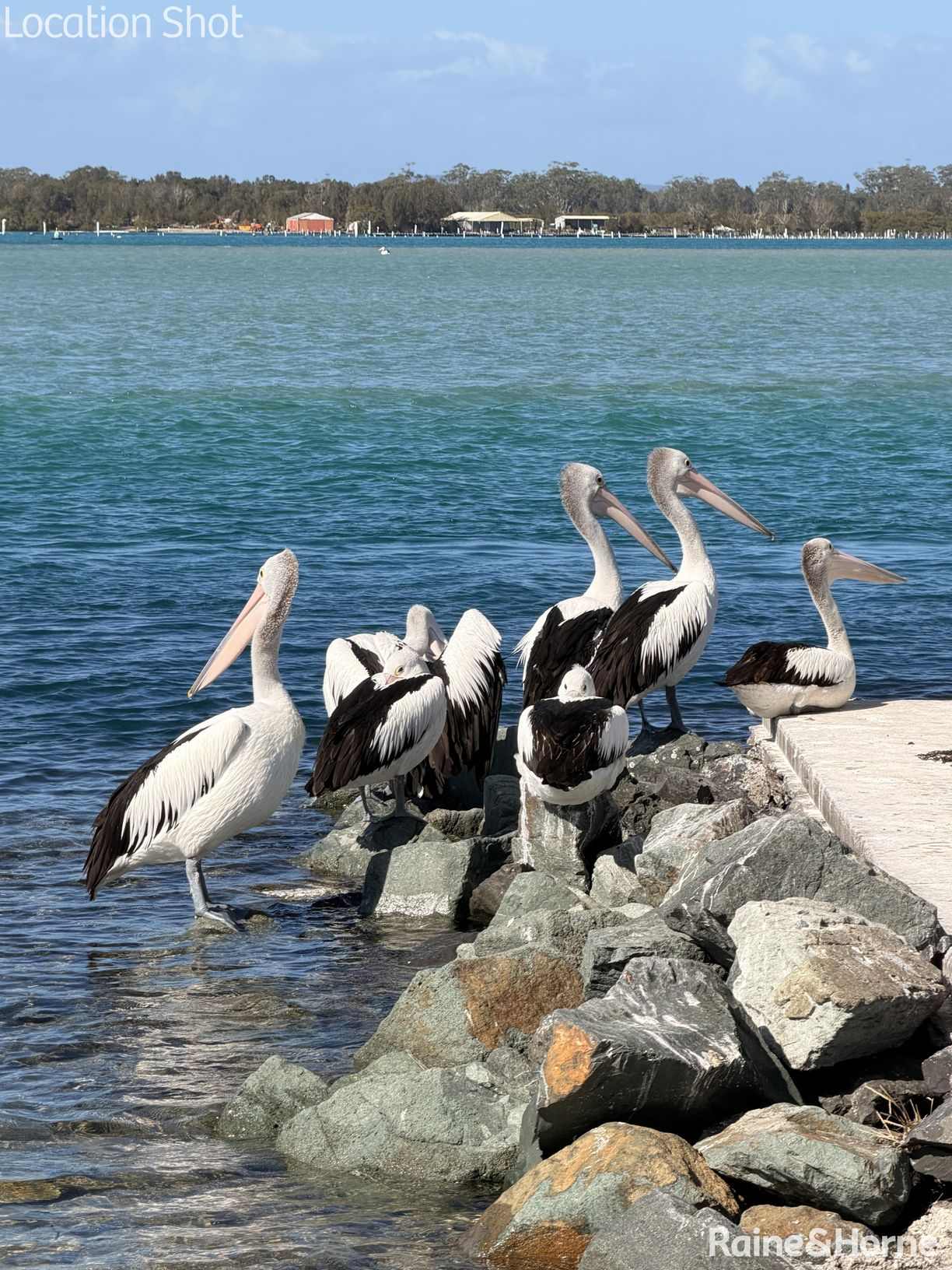 Forster NSW — photo 10 of 14