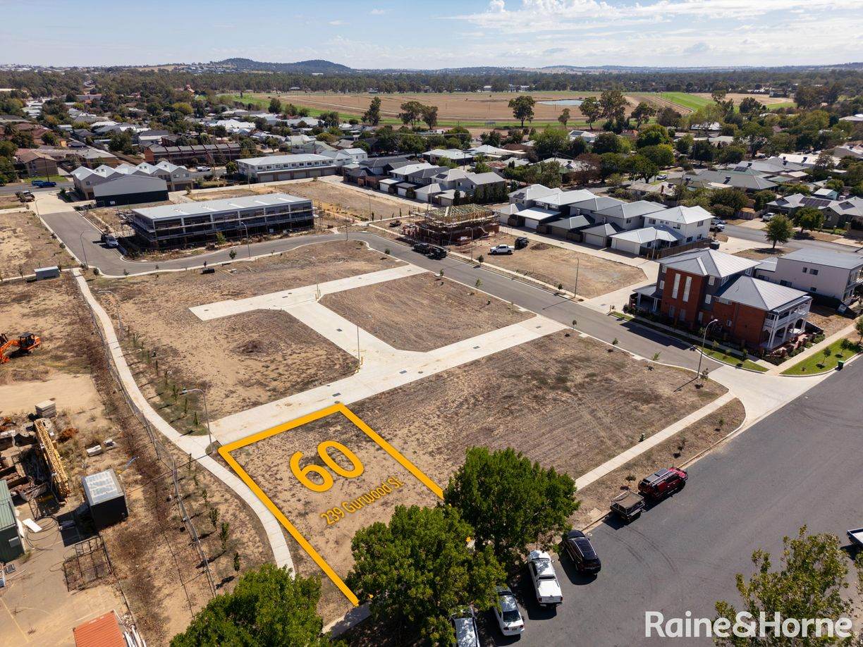 239 Gurwood Street — photo from Raine & Horne Wagga Wagga
