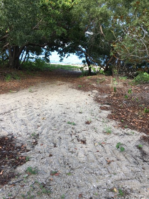 Lot 124 Shark Bay Esplanade — photo 4 of 8