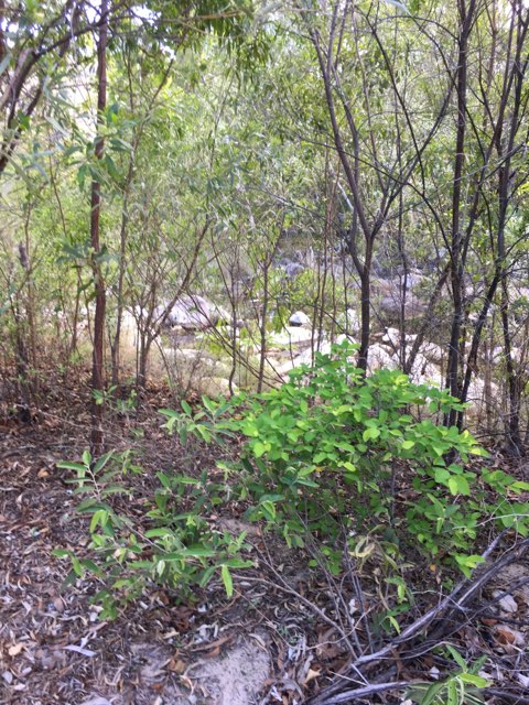 Lot 124 Shark Bay Esplanade — photo 7 of 8