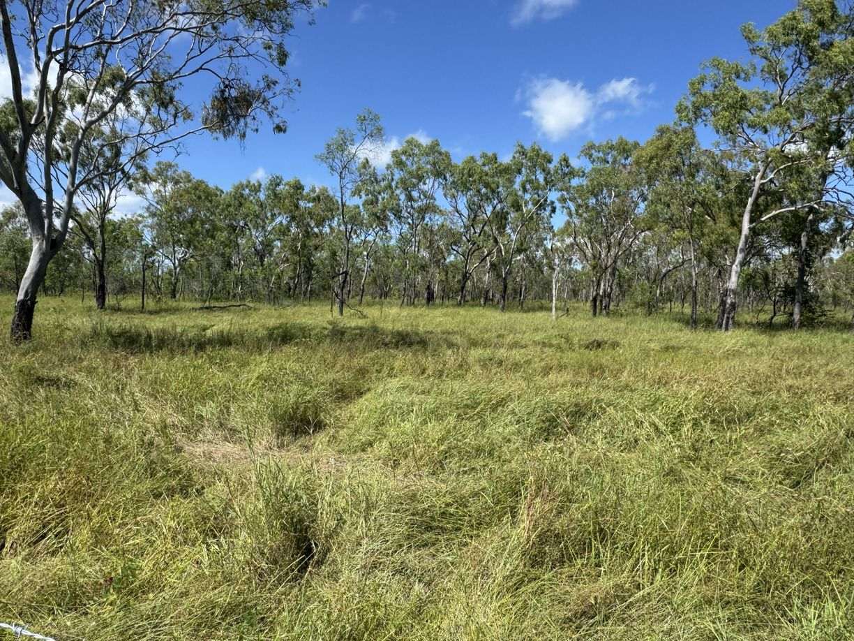 Bruce Highway, Guthalungra QLD — photo 4 of 6