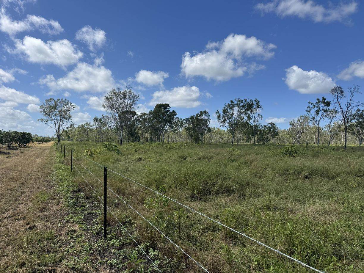 Bruce Highway, Guthalungra QLD — photo 5 of 6