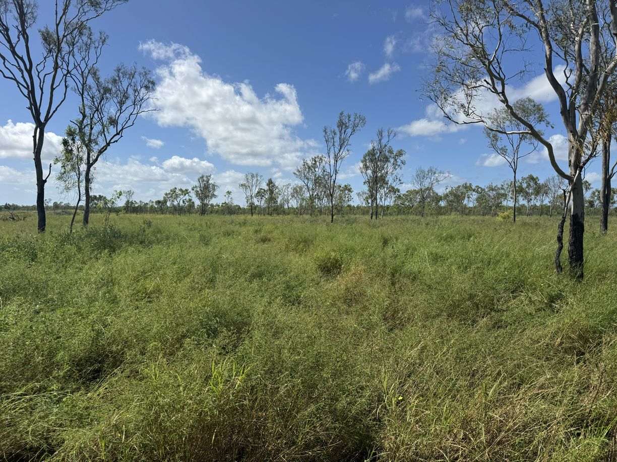 Bruce Highway, Guthalungra QLD — photo 6 of 6