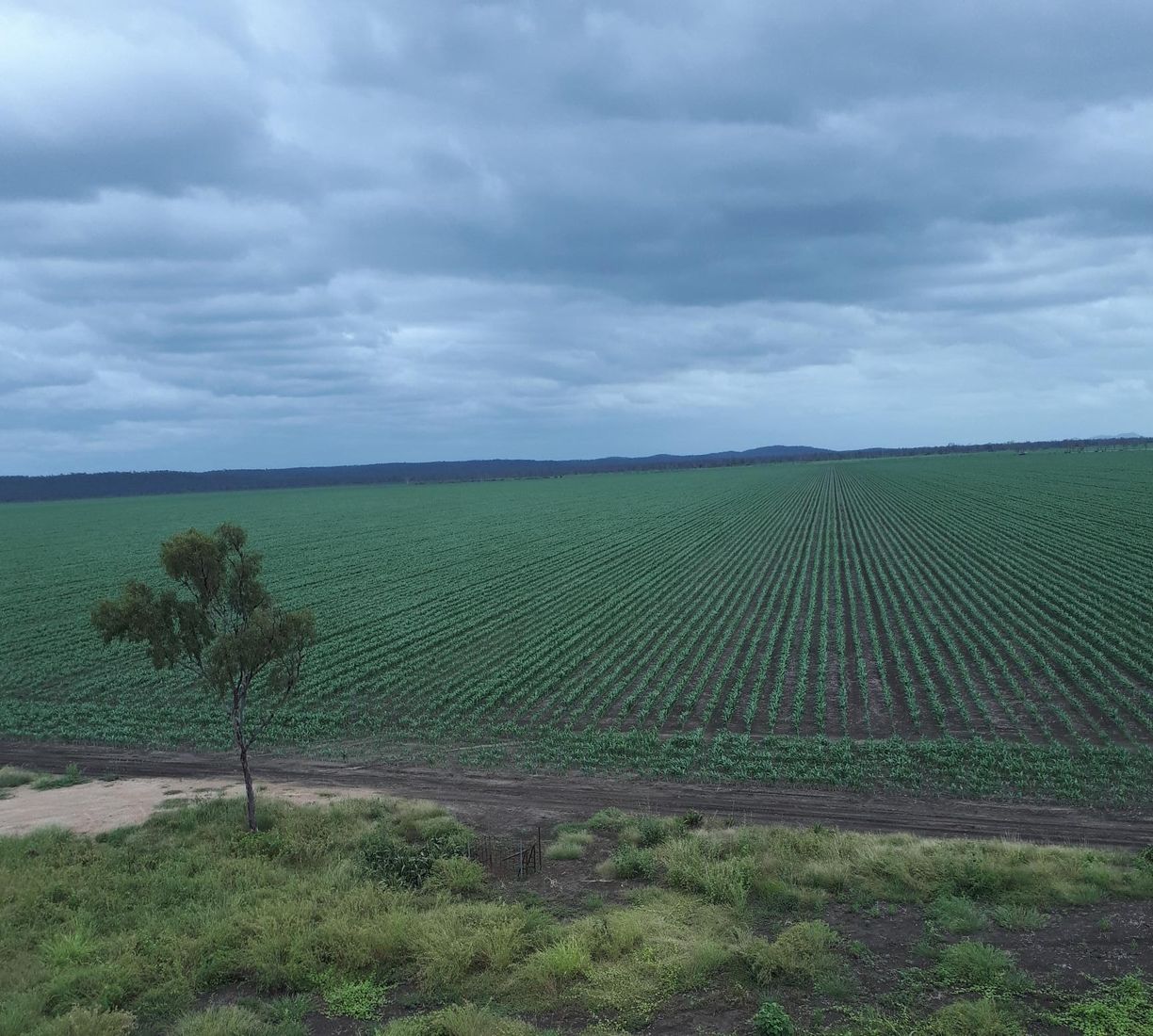 Lot 319 Bruce Highway — photo 27 of 30