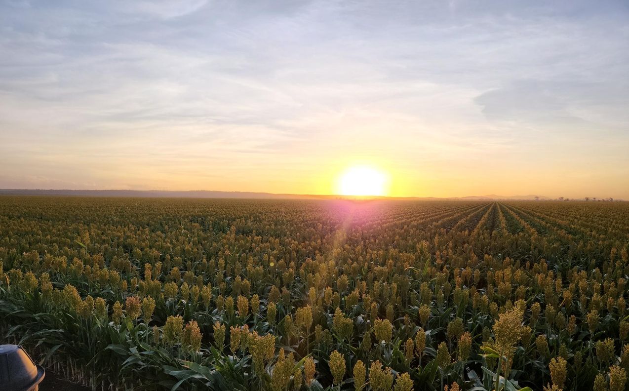 Lot 319 Bruce Highway — photo from Raine & Horne Ayr