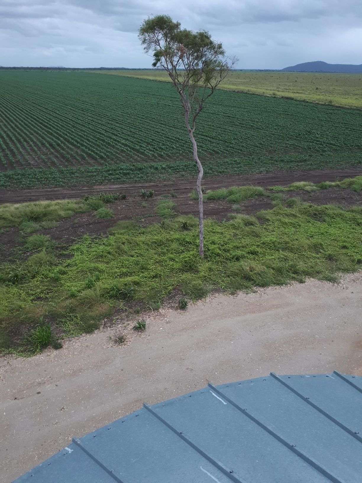 Lot 319 Bruce Highway — photo 28 of 30