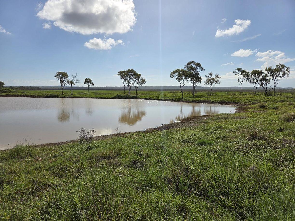 Lot 319 Bruce Highway — photo 20 of 30