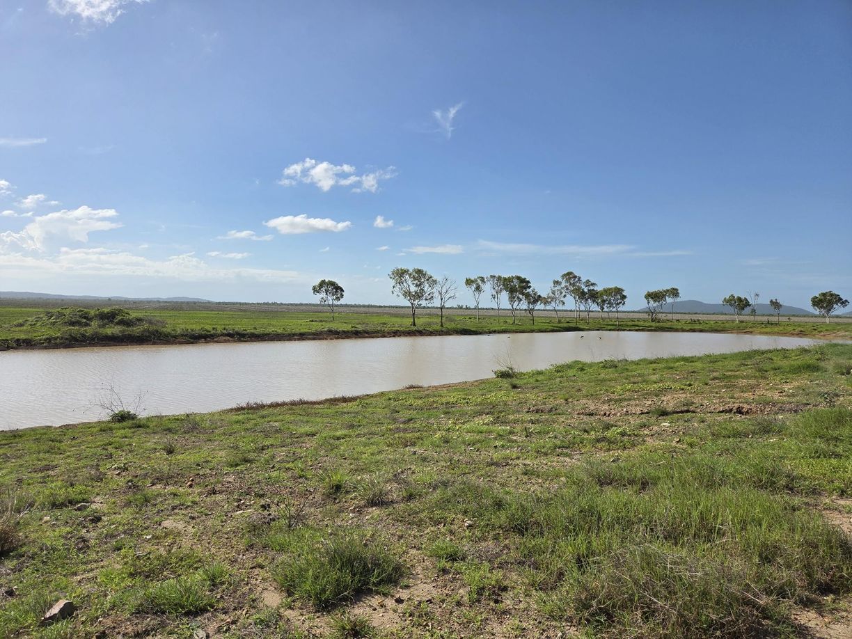 Lot 319 Bruce Highway — photo 26 of 30