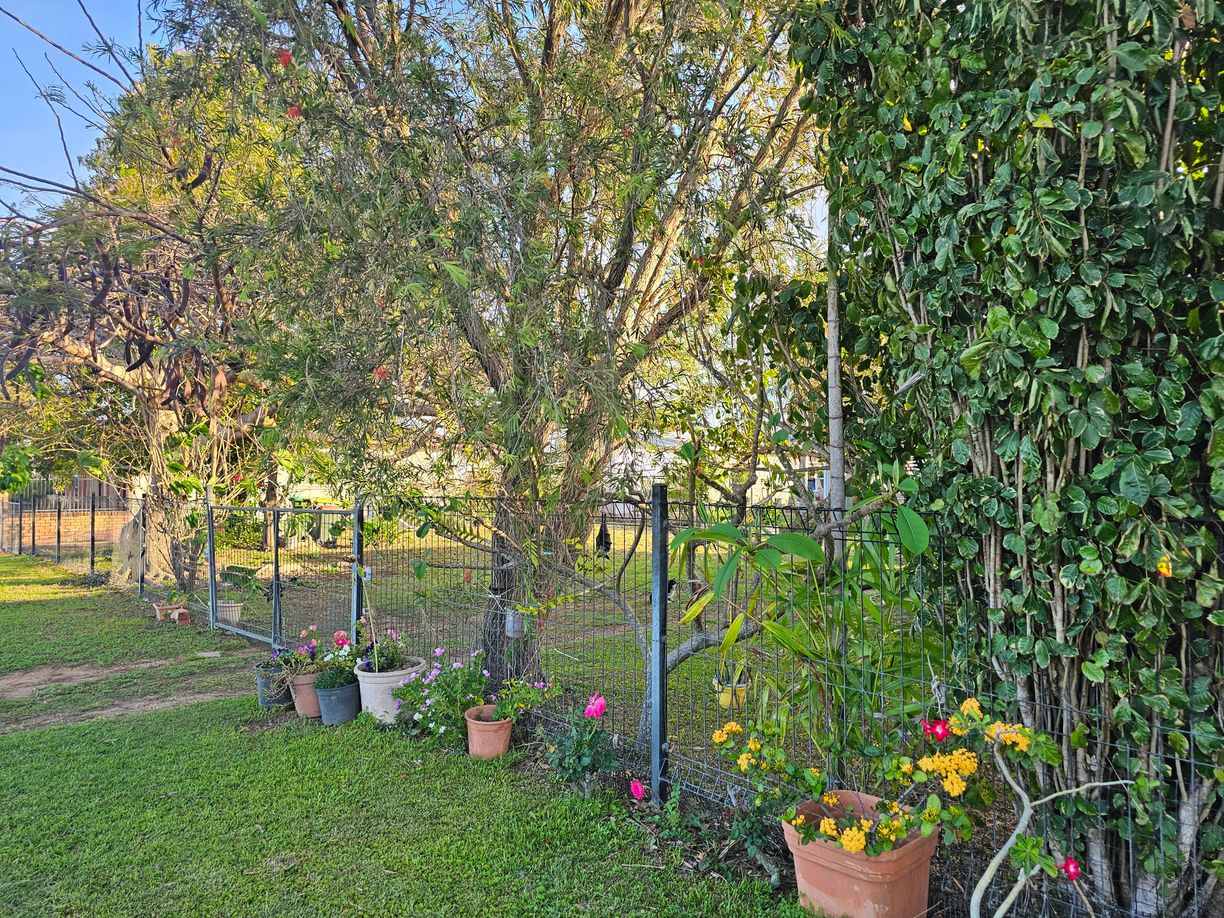 153-155 Chippendale Street — photo 22 of 24