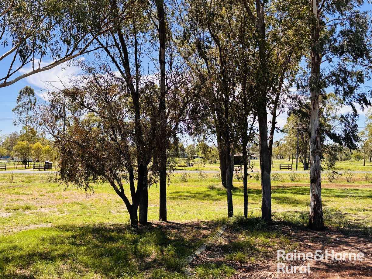 7-13 Edwardes Street — photo 11 of 16