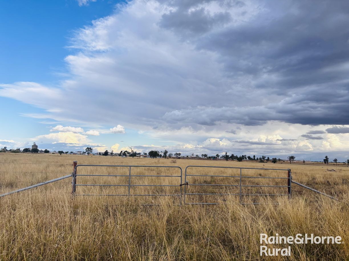 57 Upper Bowen Street — photo from Raine & Horne Roma