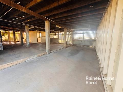 33 Foott Street — photo 6 of 23