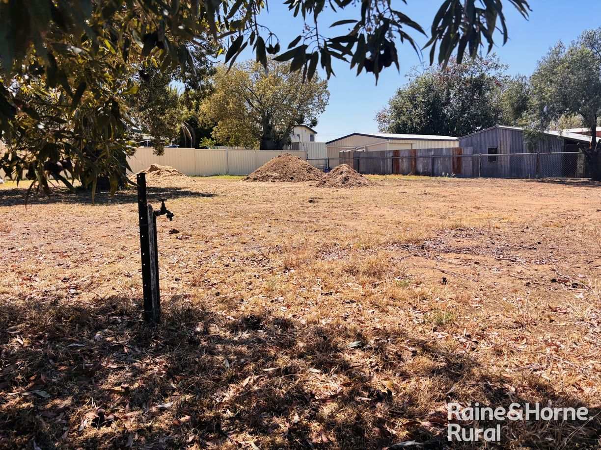 11 Hasted Street — photo from Raine & Horne Roma