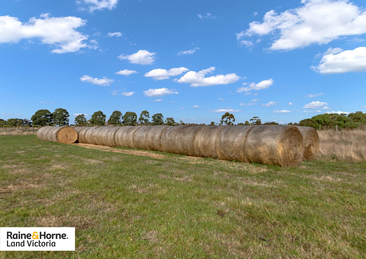 175 Eight Mile Road — photo 7 of 19