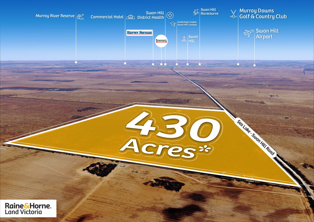 2/Sea Lake-Swan Hill Road — photo from Raine & Horne Land Victoria