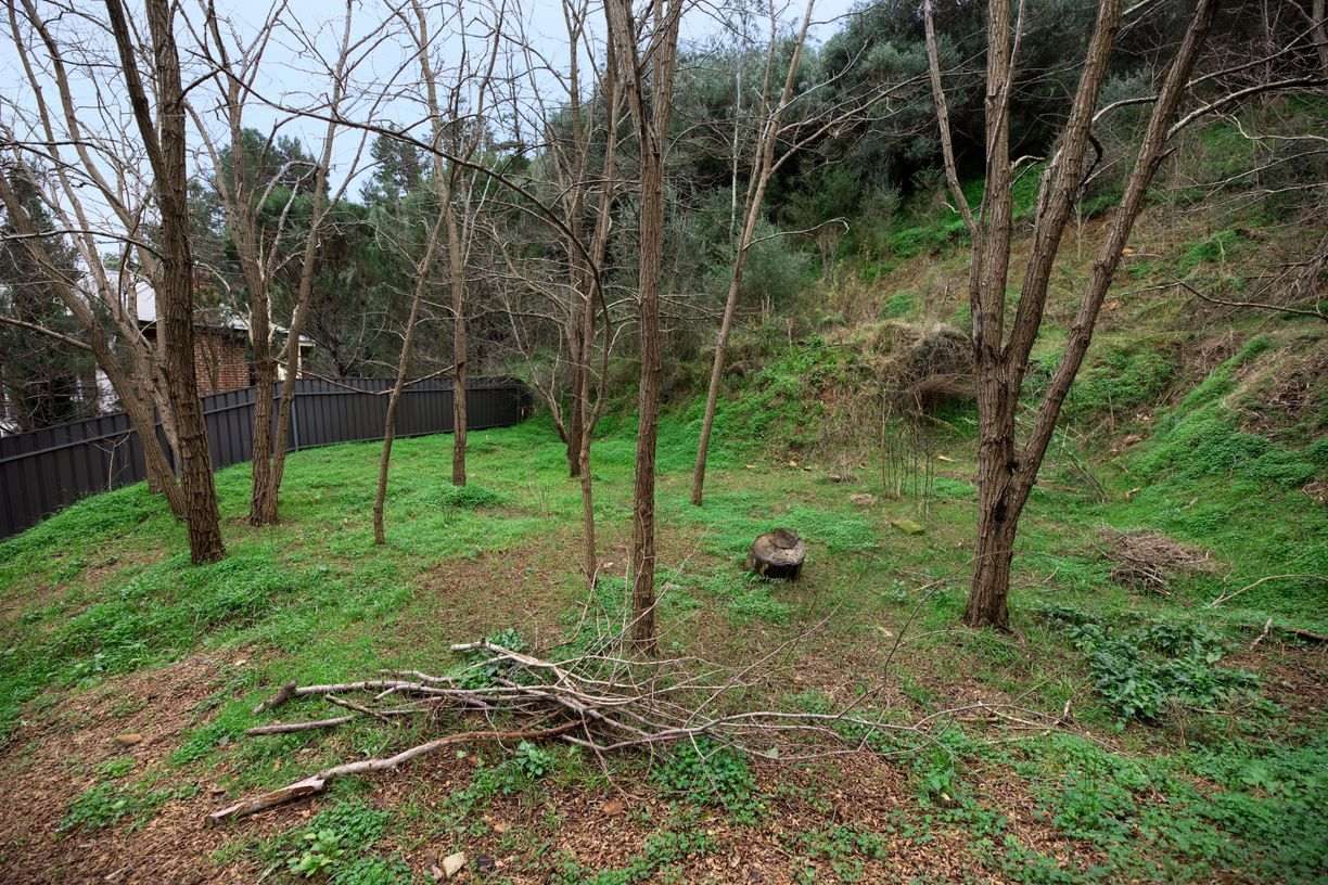 158 Waterfall Gully Road — photo 3 of 11