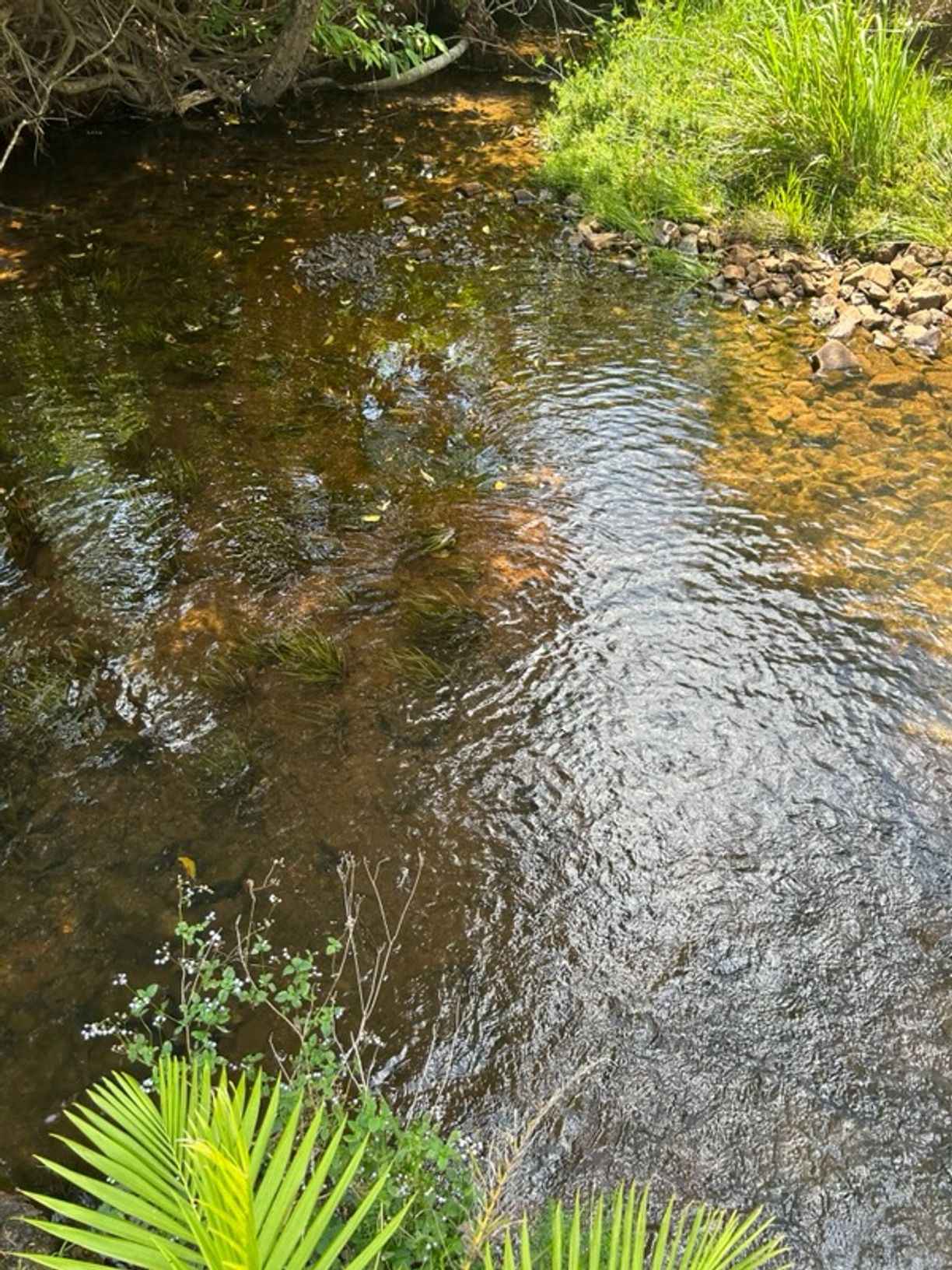 Lot 5 49 Meuanbah Road — photo 5 of 12
